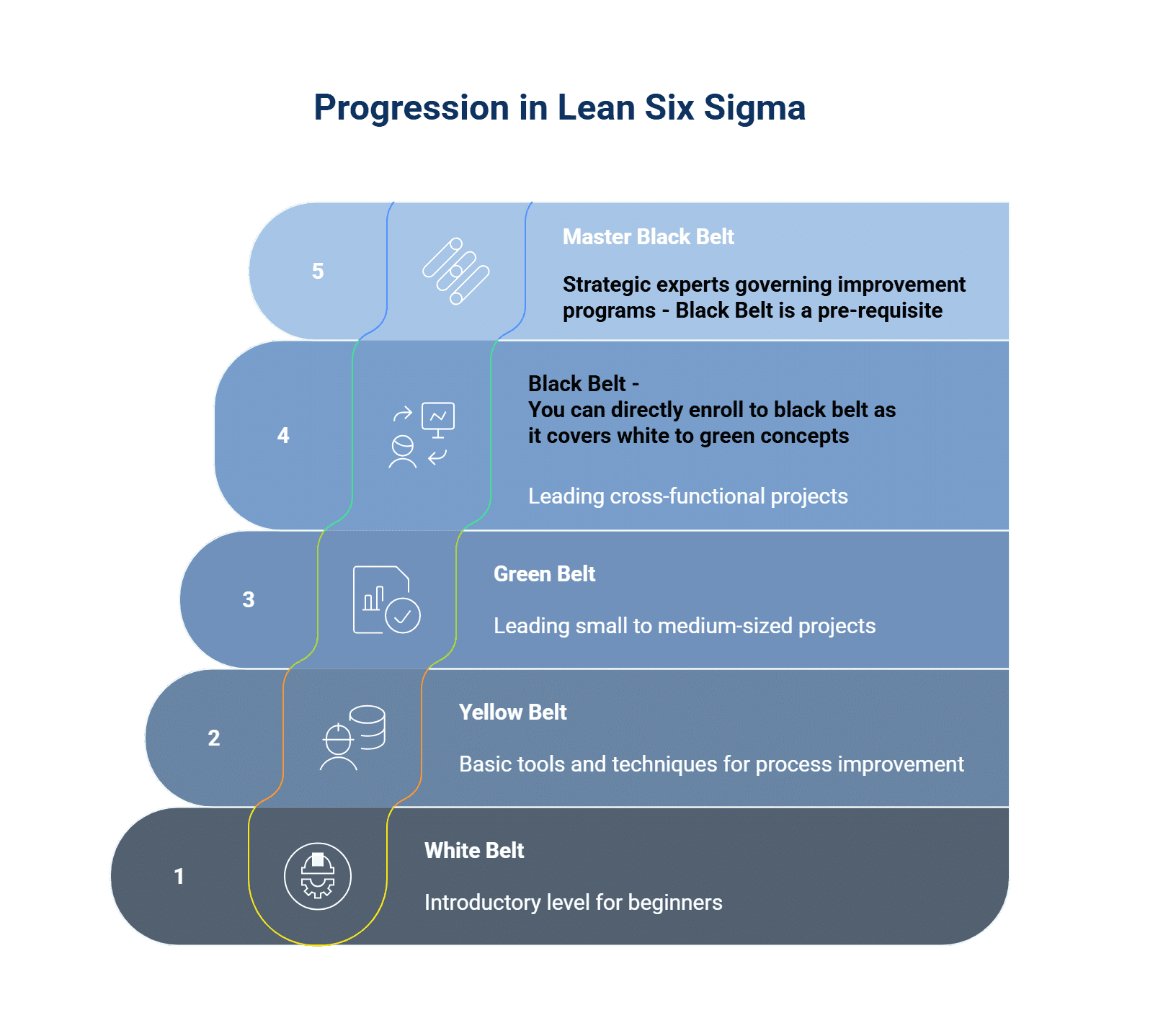 lean six sigma belt levels - visual selection (5)