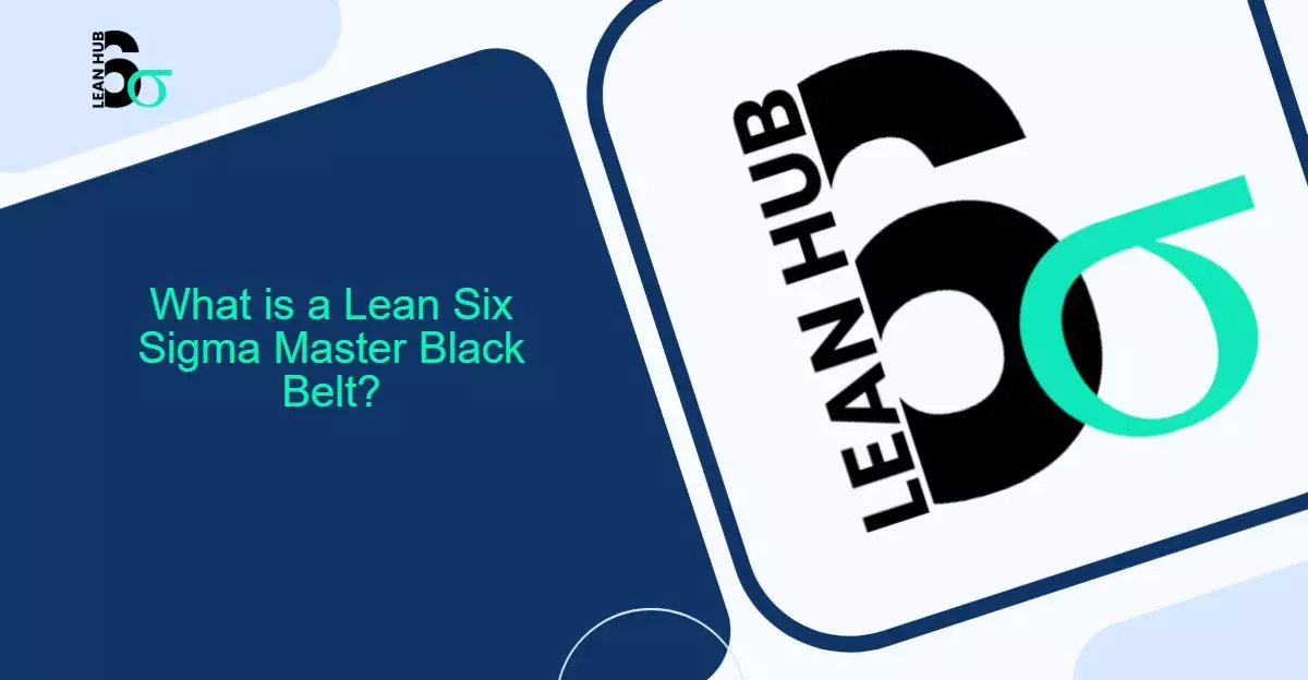What is a Lean Six Sigma Master Black Belt?